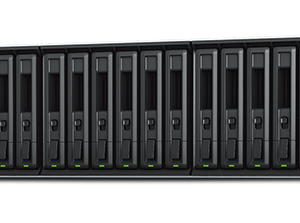 Synology FX2421 Expansion Unit